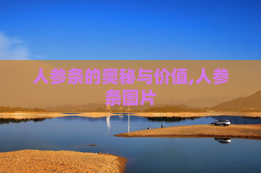 人参条的奥秘与价值,人参条图片