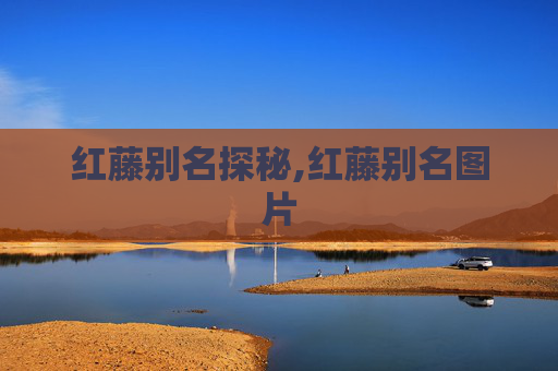 红藤别名探秘,红藤别名图片