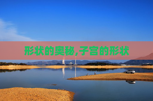 形状的奥秘,子宫的形状