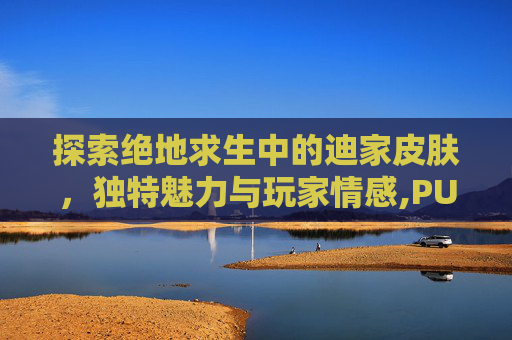 探索绝地求生中的迪家皮肤，独特魅力与玩家情感,PUBG皮肤大全