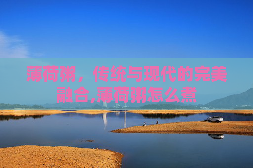 薄荷粥，传统与现代的完美融合,薄荷粥怎么煮