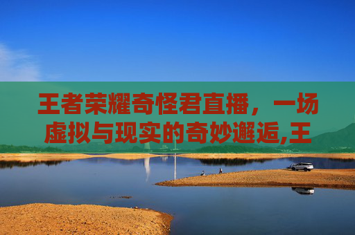 王者荣耀奇怪君直播，一场虚拟与现实的奇妙邂逅,王者荣耀奇怪君直播回放
