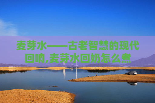 麦芽水——古老智慧的现代回响,麦芽水回奶怎么煮