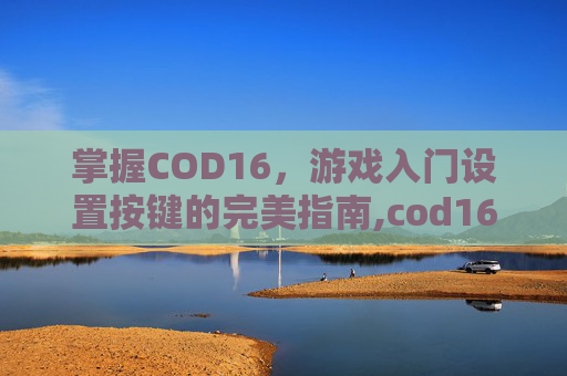 掌握COD16，游戏入门设置按键的完美指南,cod16控制台按键图解