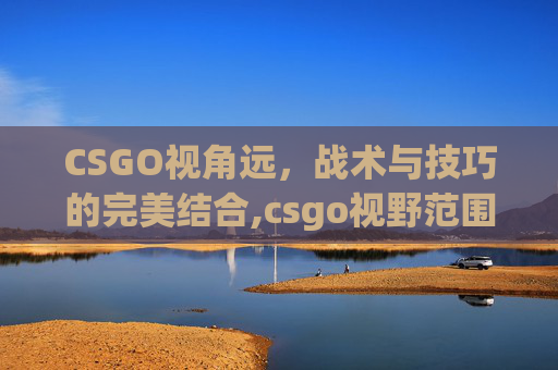 CSGO视角远，战术与技巧的完美结合,csgo视野范围怎么调