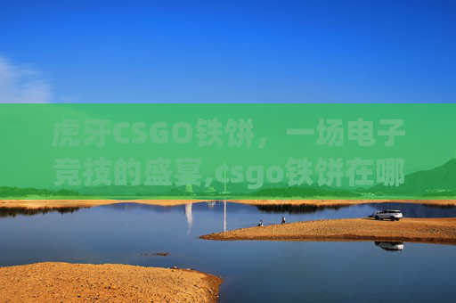 虎牙CSGO铁饼，一场电子竞技的盛宴,csgo铁饼在哪直播