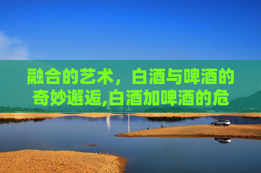 融合的艺术，白酒与啤酒的奇妙邂逅,白酒加啤酒的危害
