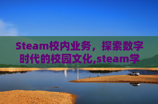 Steam校内业务，探索数字时代的校园文化,steam学校