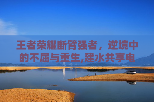 王者荣耀断臂强者,逆境中的不屈与重生,建水共享电单车 王者荣耀断臂强者,逆境中的不屈与重生,建水共享电单车