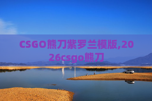 CSGO熊刀紫罗兰模版,2026csgo熊刀