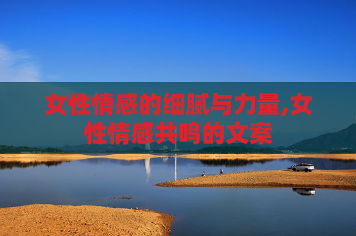 女性情感的细腻与力量,女性情感共鸣的文案