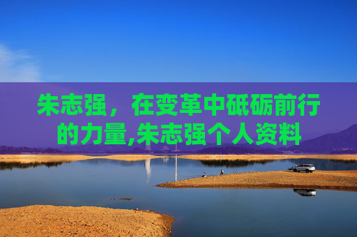 朱志强，在变革中砥砺前行的力量,朱志强个人资料
