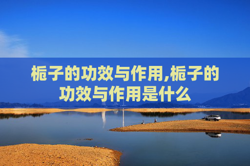 栀子的功效与作用,栀子的功效与作用是什么
