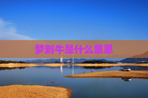 梦到牛是什么意思