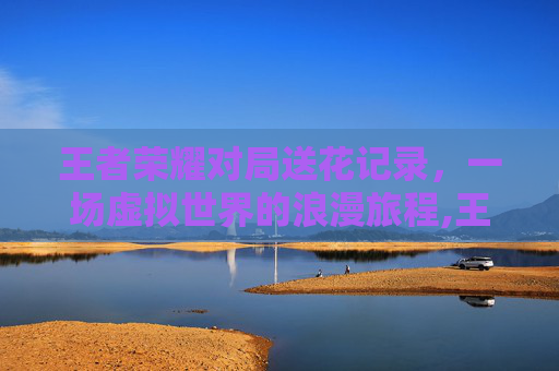 王者荣耀对局送花记录，一场虚拟世界的浪漫旅程,王者荣耀对局送花记录怎么看