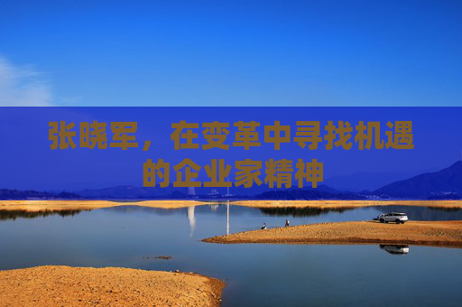 张晓军，在变革中寻找机遇的企业家精神