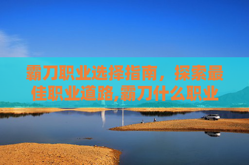 霸刀职业选择指南，探索最佳职业道路,霸刀什么职业好玩