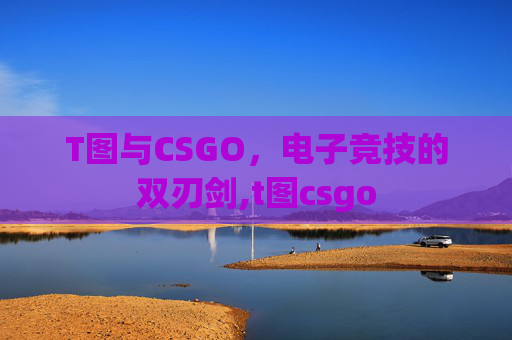 T图与CSGO，电子竞技的双刃剑,t图csgo
