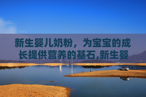 新生婴儿奶粉，为宝宝的成长提供营养的基石,新生婴儿奶粉哪款好