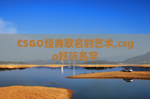 CSGO经典取名的艺术,csgo好听名字
