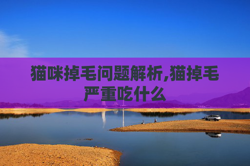 猫咪掉毛问题解析,猫掉毛严重吃什么