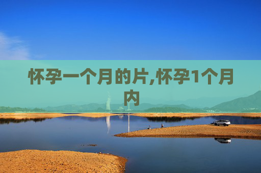 怀孕一个月的片,怀孕1个月内