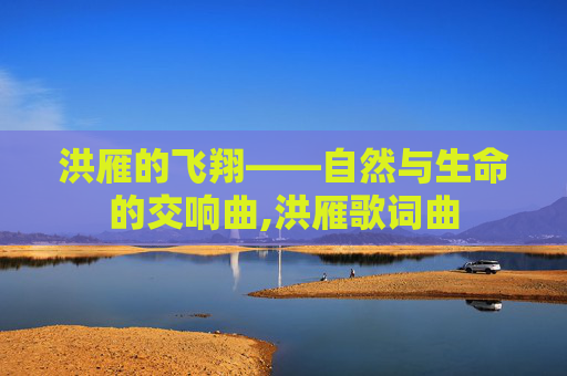 洪雁的飞翔——自然与生命的交响曲,洪雁歌词曲