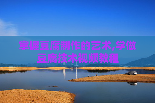 掌握豆腐制作的艺术,学做豆腐技术视频教程
