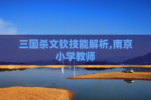 三国杀文钦技能解析,南京小学教师