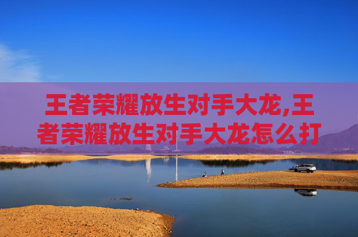 王者荣耀放生对手大龙,王者荣耀放生对手大龙怎么打