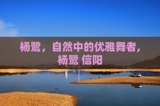 杨鹭，自然中的优雅舞者,杨鹭 信阳