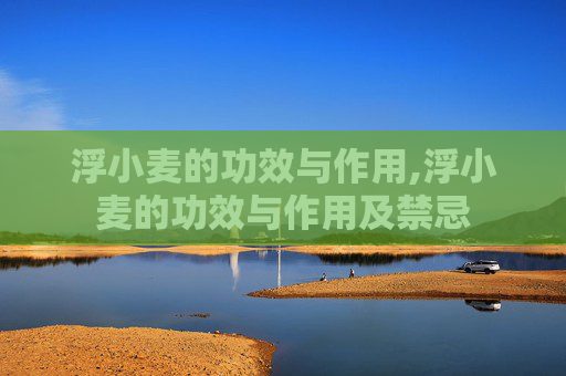 浮小麦的功效与作用,浮小麦的功效与作用及禁忌