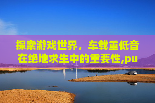 探索游戏世界，车载重低音在绝地求生中的重要性,pubg低音增强
