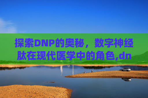 探索DNP的奥秘，数字神经肽在现代医学中的角色,dnp打印机