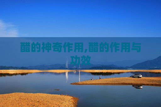 醋的神奇作用,醋的作用与功效