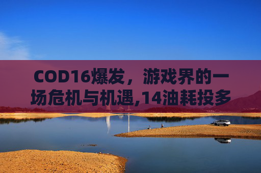COD16爆发，游戏界的一场危机与机遇,14油耗投多少钱一公里