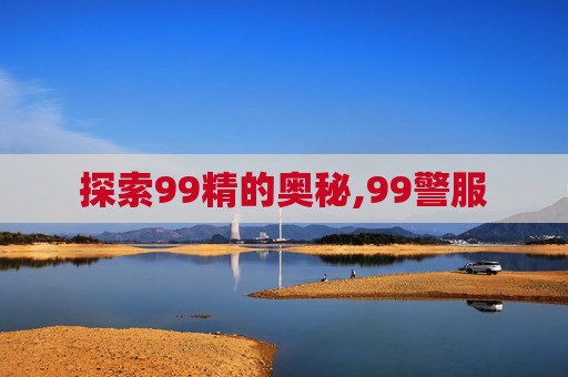 探索99精的奥秘,99警服
