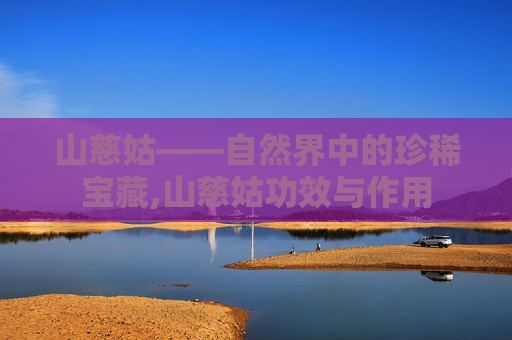 山慈姑——自然界中的珍稀宝藏,山慈姑功效与作用