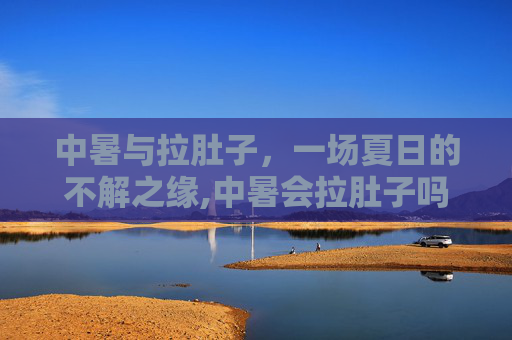 中暑与拉肚子，一场夏日的不解之缘,中暑会拉肚子吗吃什么药