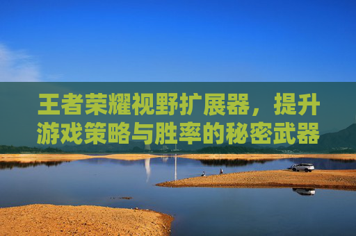 王者荣耀视野扩展器，提升游戏策略与胜率的秘密武器,王者荣耀视野扩展器怎么设置
