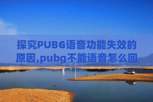 探究PUBG语音功能失效的原因,pubg不能语音怎么回事