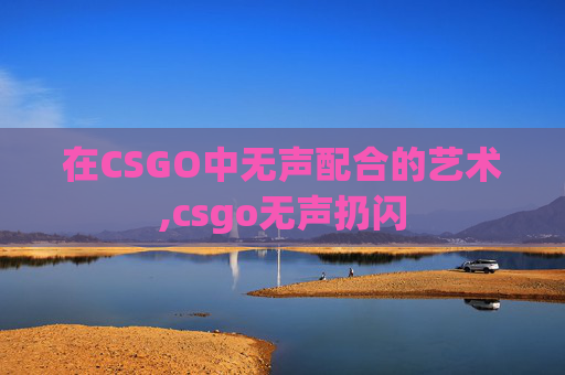 在CSGO中无声配合的艺术,csgo无声扔闪