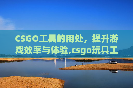 CSGO工具的用处，提升游戏效率与体验,csgo玩具工具