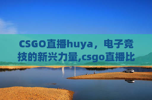 CSGO直播huya，电子竞技的新兴力量,csgo直播比赛