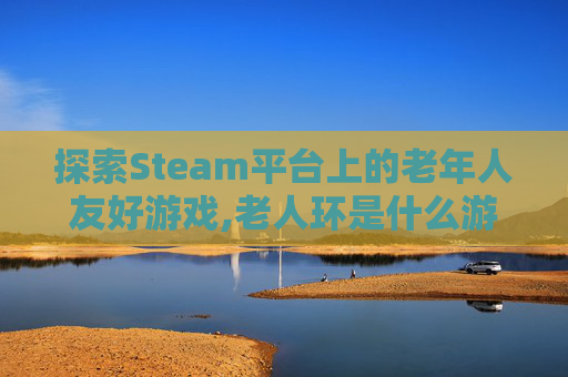 探索Steam平台上的老年人友好游戏,老人环是什么游戏