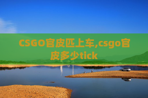 CSGO官皮匹上车,csgo官皮多少tick