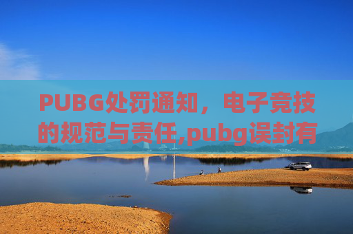 PUBG处罚通知，电子竞技的规范与责任,pubg误封有补偿吗