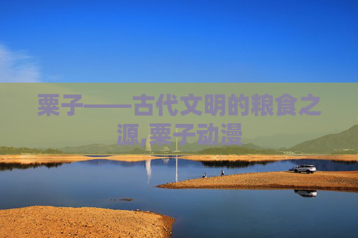 粟子——古代文明的粮食之源,粟子动漫