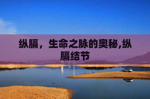 纵膈，生命之脉的奥秘,纵膈结节