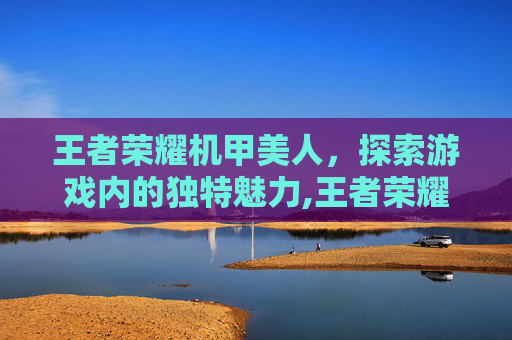 王者荣耀机甲美人，探索游戏内的独特魅力,王者荣耀机甲系列集合吧